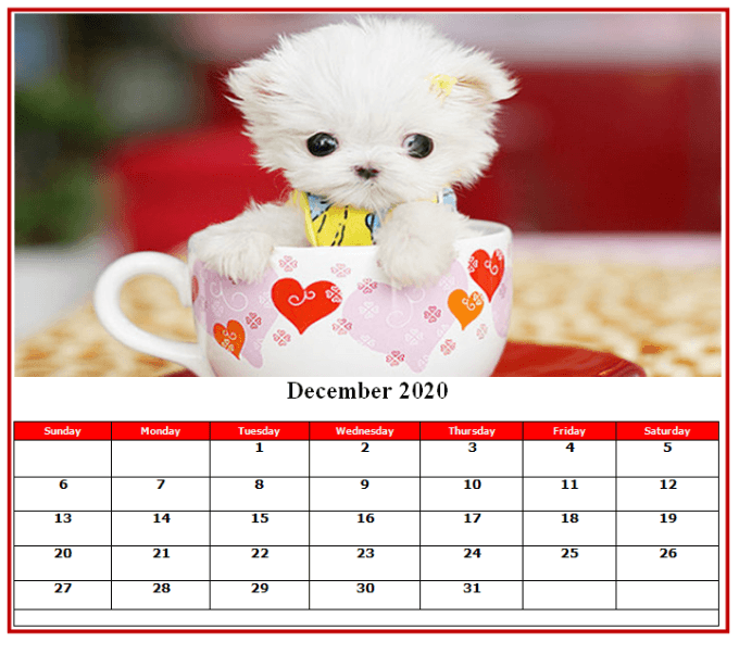 Cute 2020 December Calendar