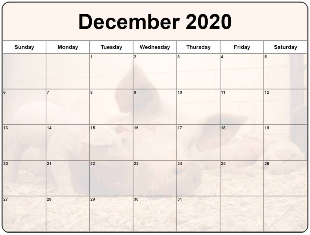 Cute December 2020 Calendar For Events New Planning Free Printable
