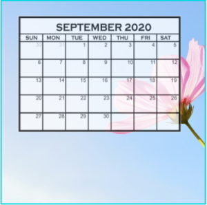 Cute September 2020 Calendar – Plan Weekly Activities | Free Printable