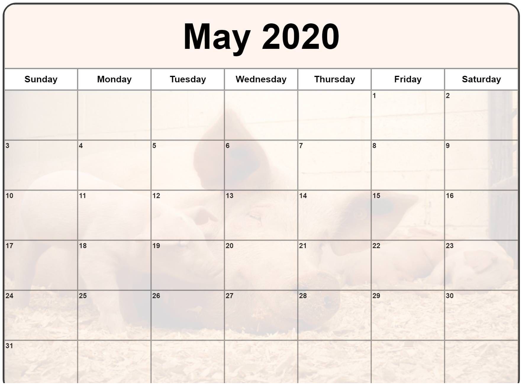 Cute May 2020 Calendar Printable