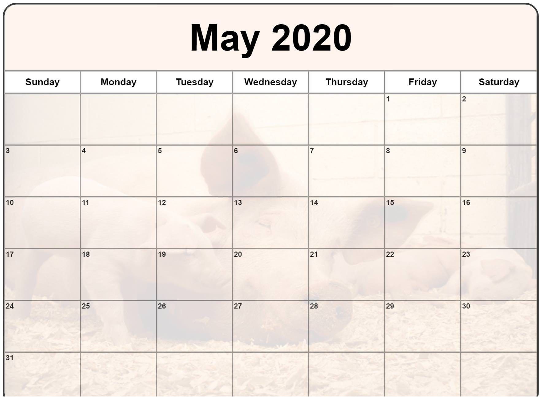 Blank May 2020 Calendar Template