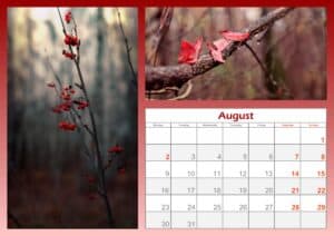 Beautiful Printable Calendar For August 2021 | Free Printable Calendar