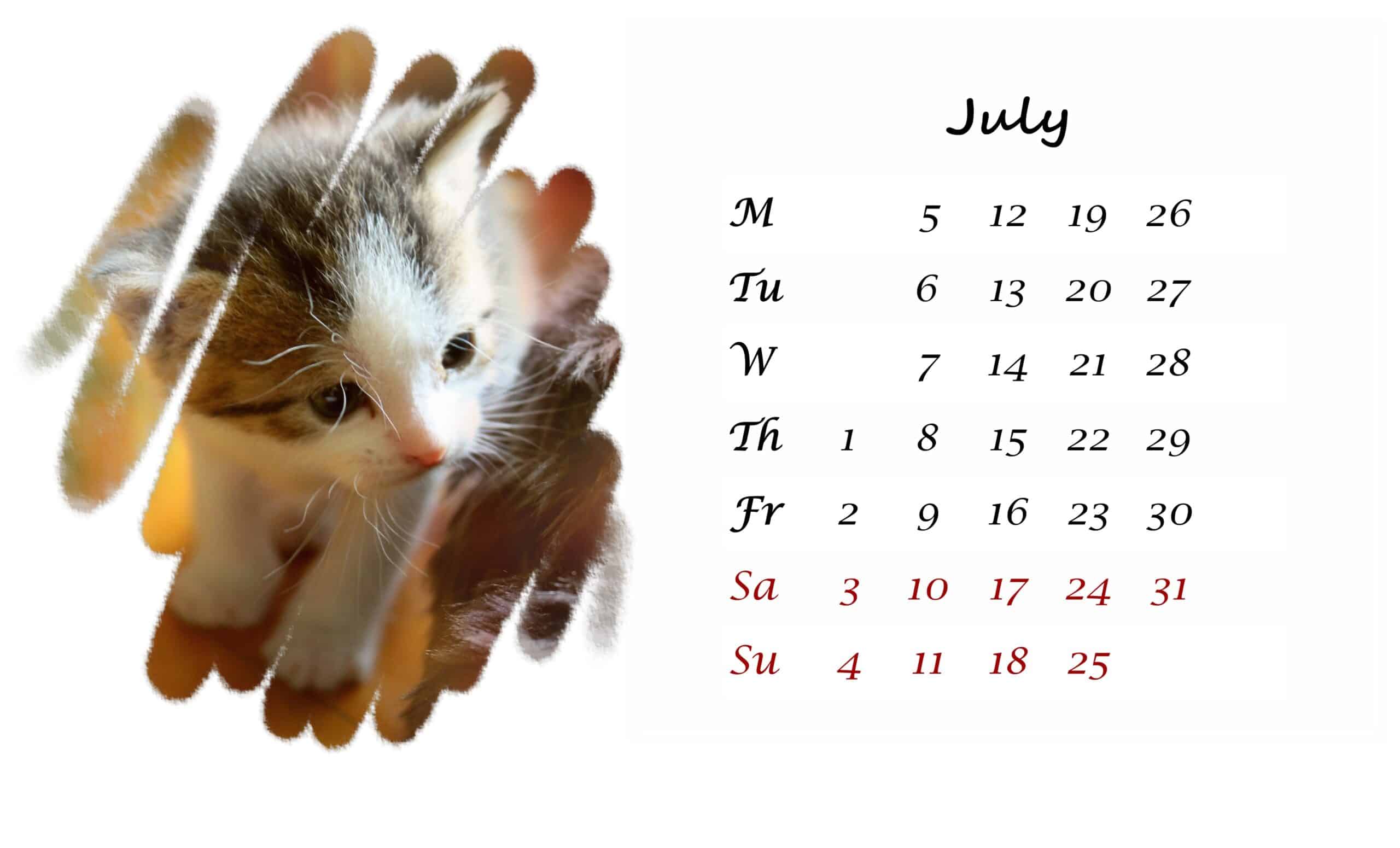 2021 July printable calendar
