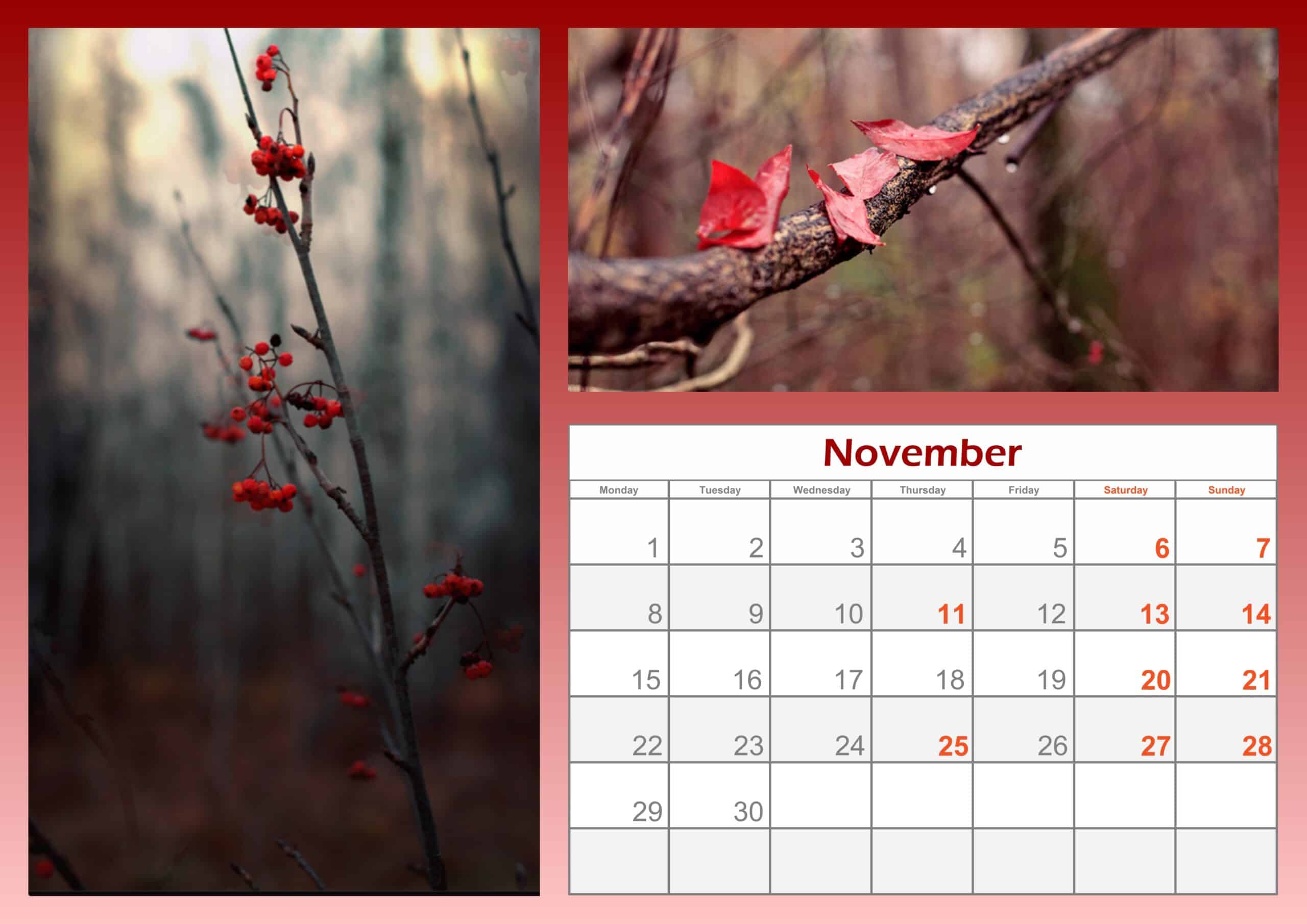 2021 November Calendar Printable