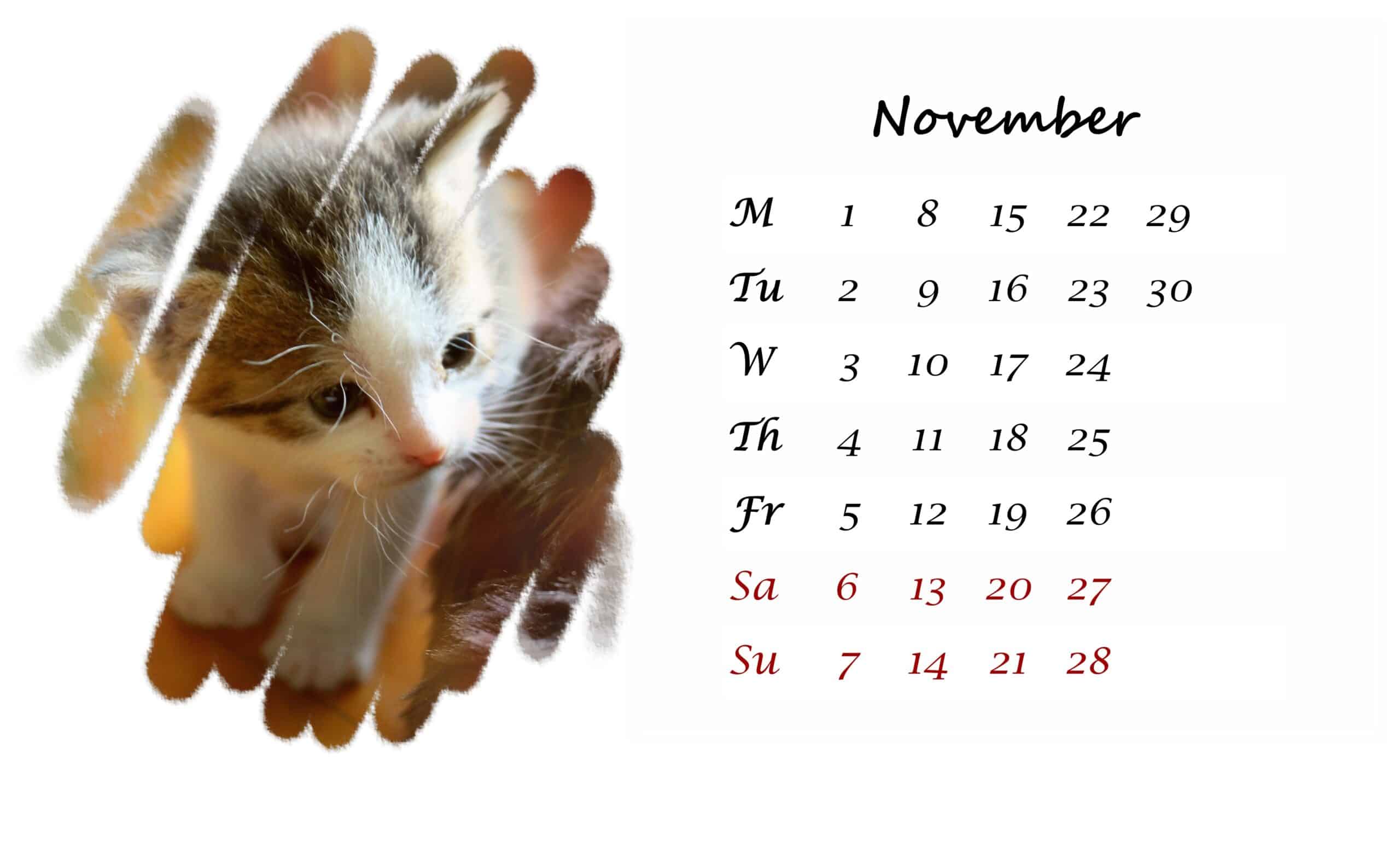 2021 November printable calendar