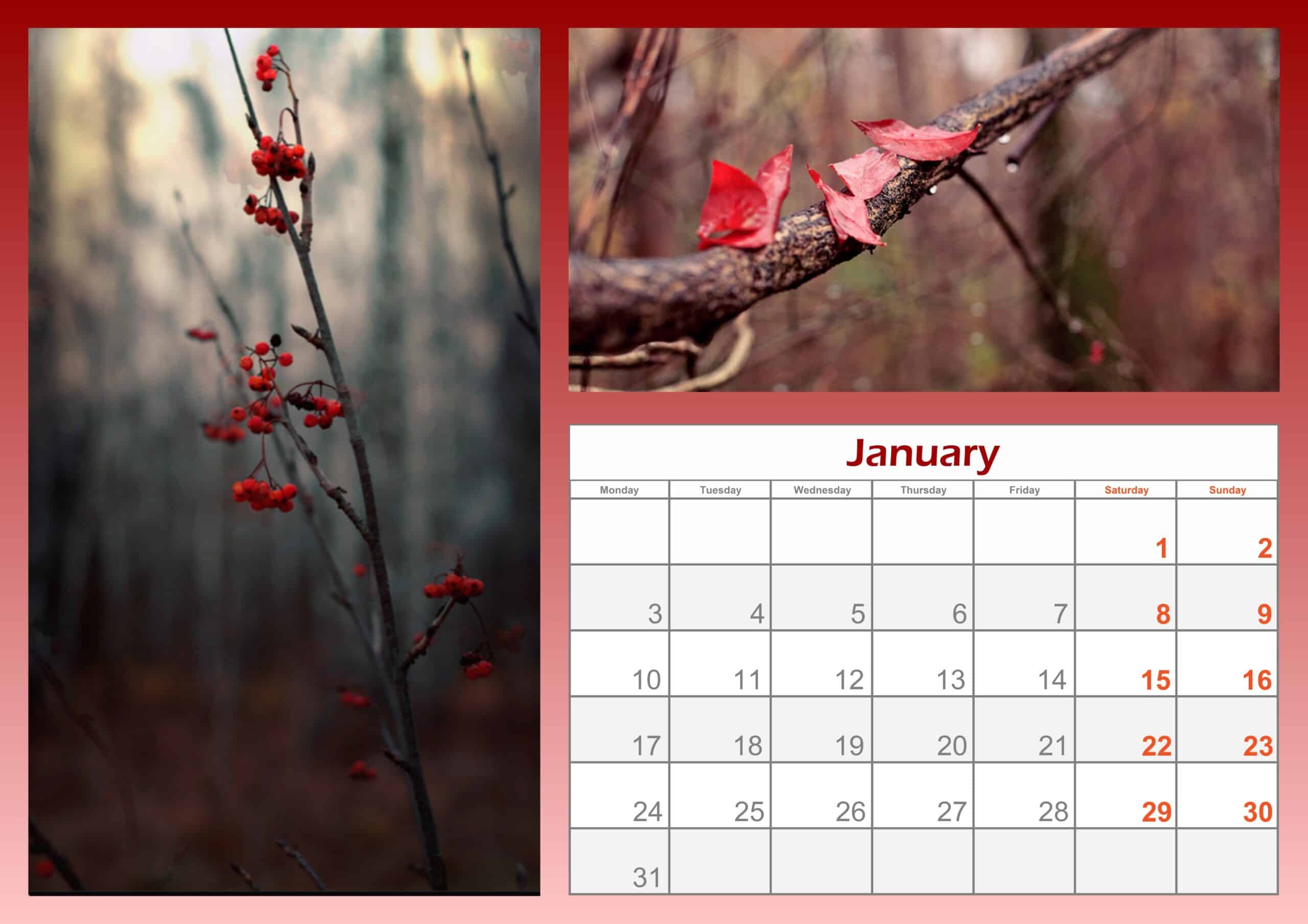 2022 January Calendar Printable