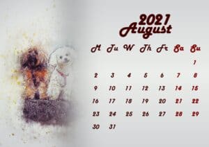 Beautiful Printable Calendar For August 2021 | Free Printable Calendar