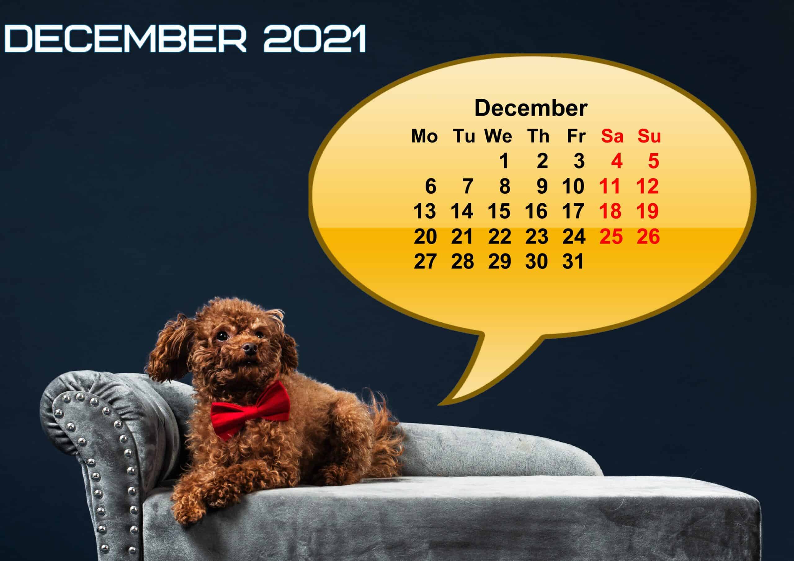 Cute December 2021 Calendar Printable