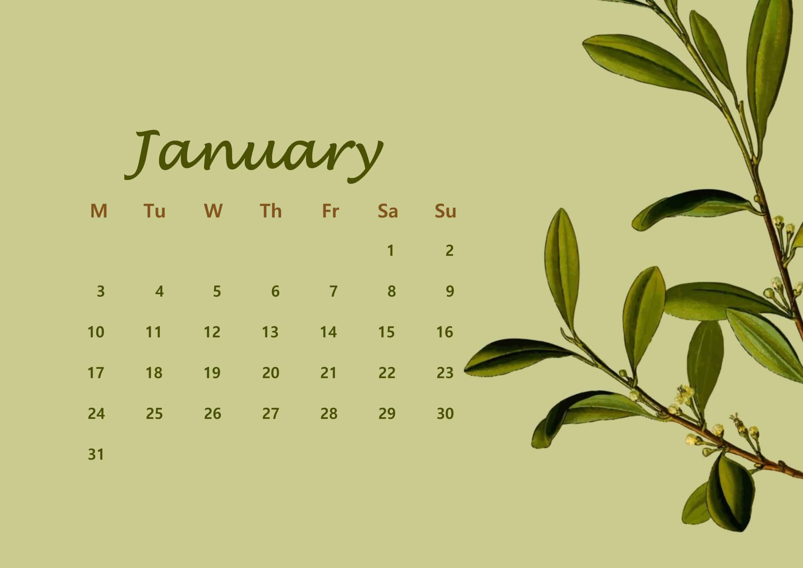 January Calendar 2022 Floral