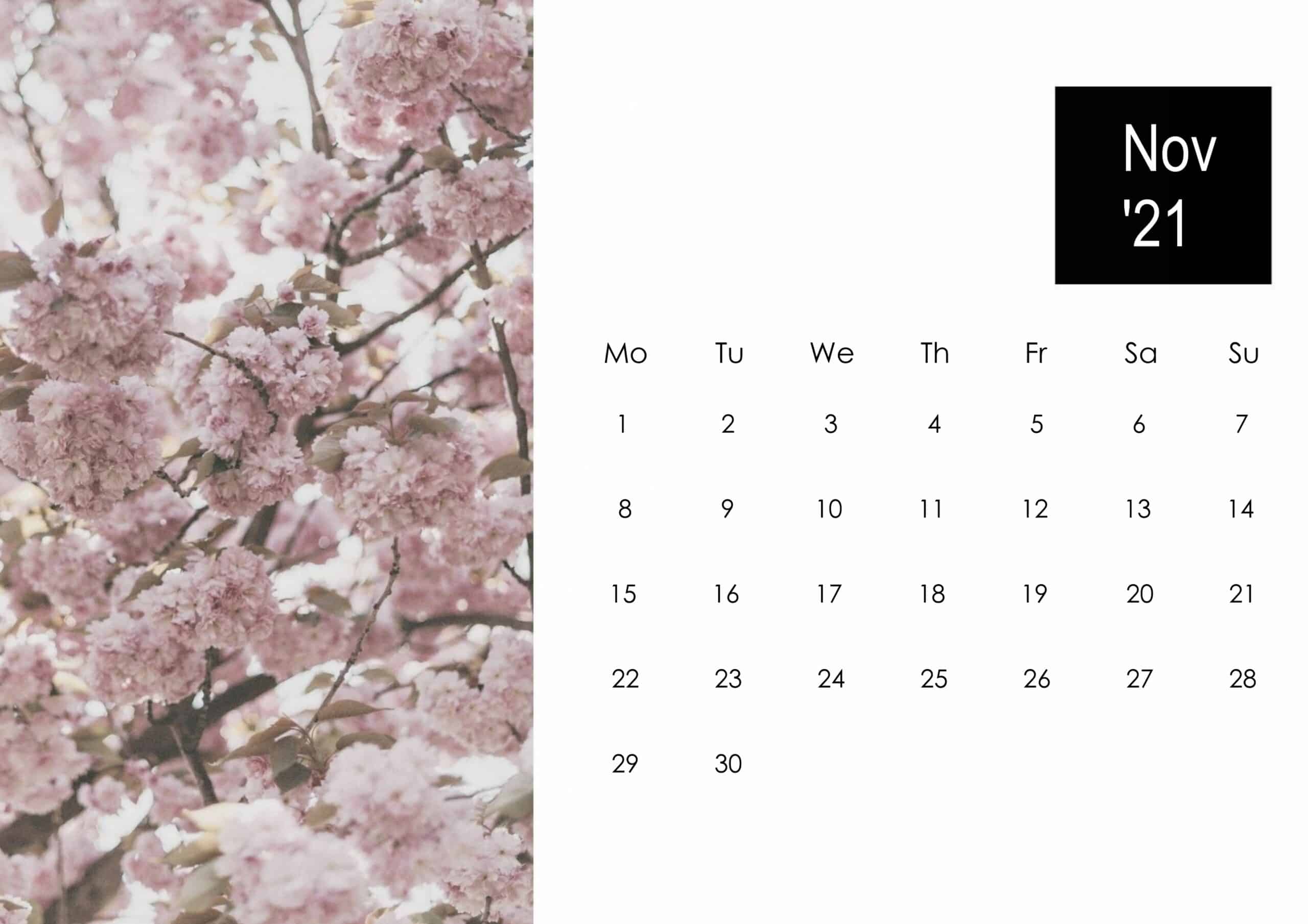 November 2021 Calendar Cute