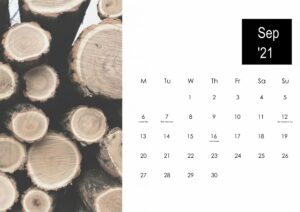 Cute Printable Calendar For September 2021 | Free Printable Calendar